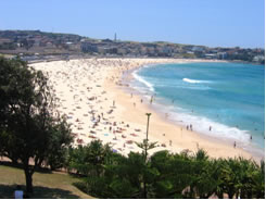 sydney beaches